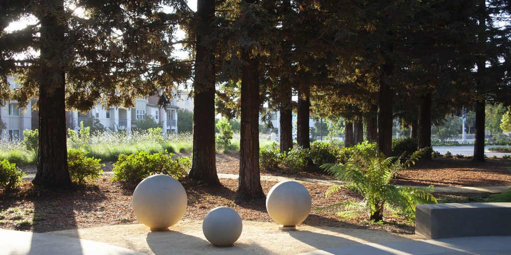 Rooted in Inclusion: Designing a Diverse Park Experience for All ...